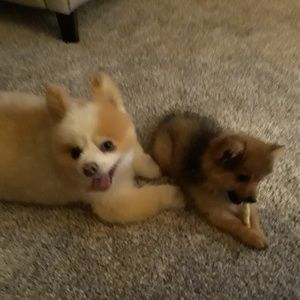 Meet your Posher, Cindy